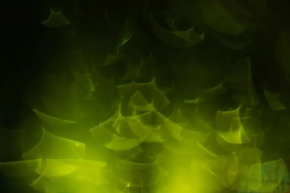 Billion Casino Stuðningur